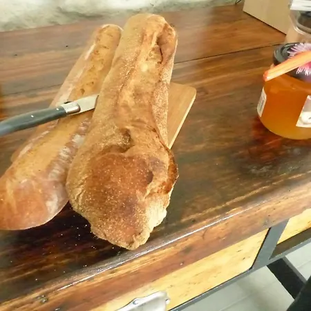 L'alambic De L'estuaire Saint-Fort-sur-Gironde