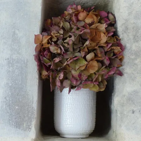 L'alambic De L'estuaire 3*