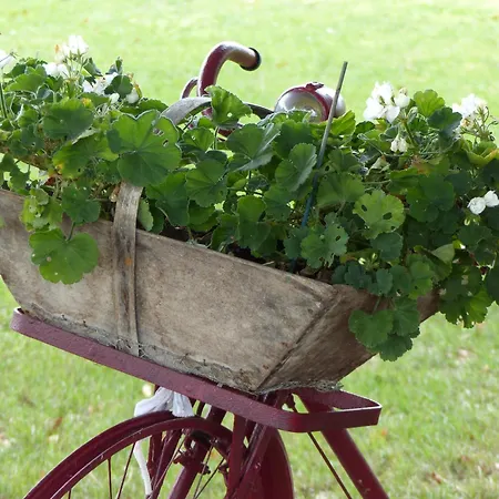 L'alambic De L'estuaire 3* Saint-Fort-sur-Gironde
